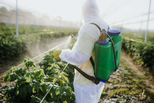 Emergency Pest Control in Cochran, GA